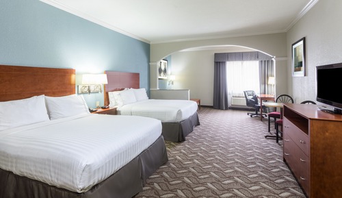 Suite, Multiple Beds