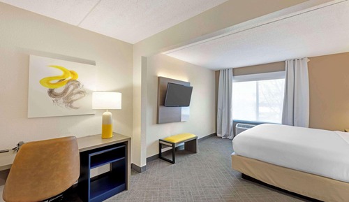 Standard Room, 1 King Bed, Non Smoking