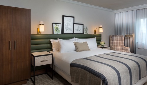 Premier Room, 1 King - No Water Park Included 