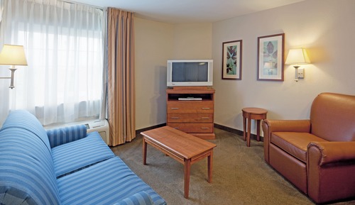 Suite, 1 Queen Bed