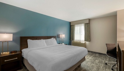 Standard Room, 1 King Bed, Non Smoking