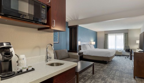 Suite, 1 King Bed with Sofa bed, Non Smoking, Refrigerator & Microwave (with Sofabed)