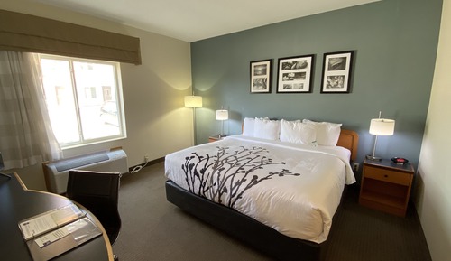 Standard Room, 1 King Bed, Non Smoking