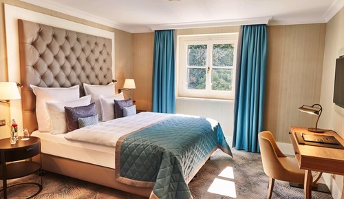 Deluxe Room (Rhine View)