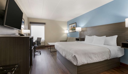 Standard Room, 1 King Bed, Non Smoking, Refrigerator & Microwave (Shower Only)