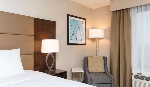 Room, 1 King Bed, Non Smoking