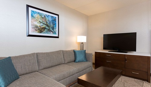 Suite, 1 Queen Bed, Accessible, Bathtub (Mobility & Hearing)