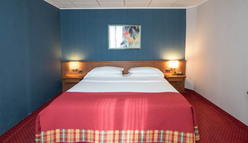 Standard Room, 1 Double Bed