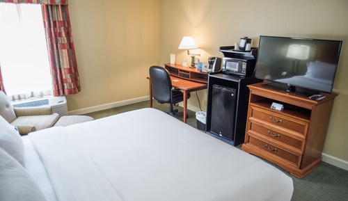 Standard Room, 1 King Bed, Accessible (Mobility Tub)