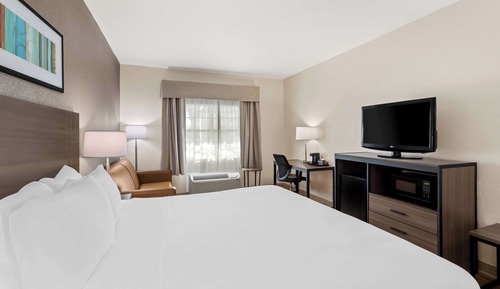 Standard Room, 1 King Bed with Sofa bed, Non Smoking