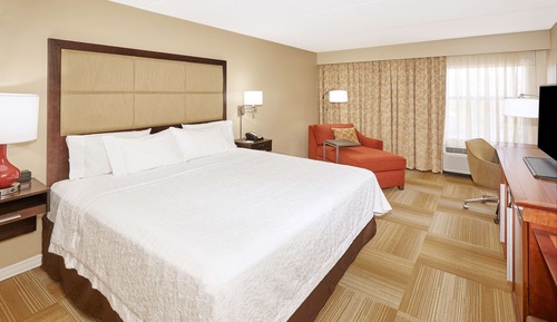 Room, 1 King Bed, Non Smoking