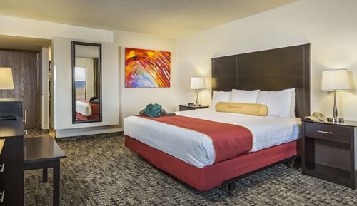 View, One King Bed, Non-Smoking