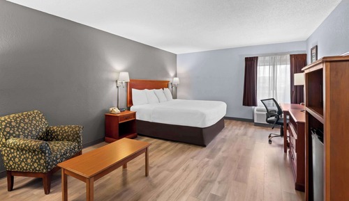 Room, 1 King Bed, Non Smoking