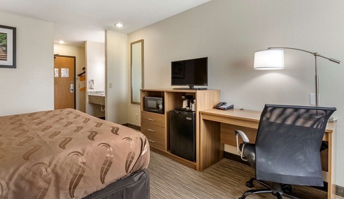 Suite, 1 King Bed, Non Smoking (Efficiency)