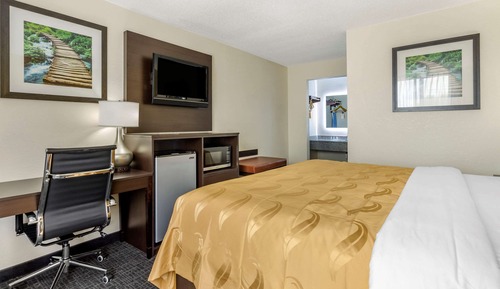 Standard Room, 1 King Bed with Sofa bed, Non Smoking