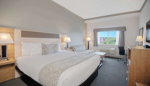 Studio, 1 King Bed (Coast King)