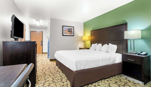 Standard Room, 1 King Bed, Accessible, Refrigerator & Microwave