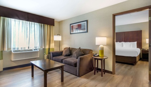 Suite, 1 King Bed with Sofa bed, Non Smoking