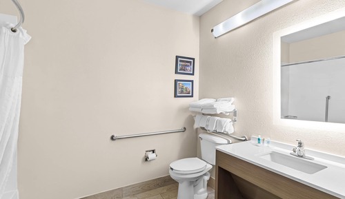 Suite, 1 King Bed with Sofa bed, Accessible, Non Smoking