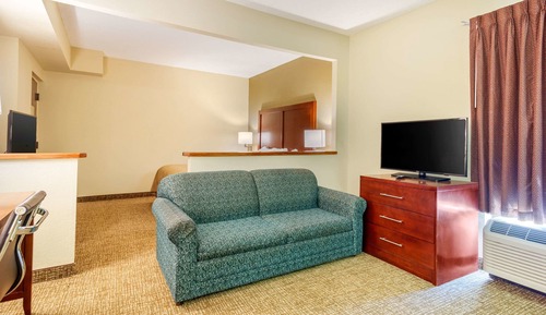 Studio Non-Smoking King Suite-King Size Bed
