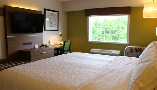 Room, 1 King Bed, Accessible (Comm, Mobility, Roll Shwr)