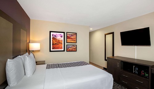 Room, 1 King Bed, Non Smoking