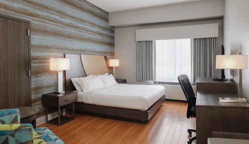 Room, 1 King Bed