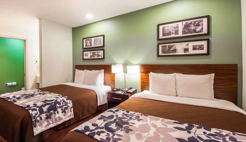 Standard Double Room, 2 Double Beds, Non Smoking