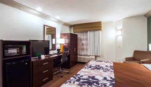 Standard Room, 1 King Bed, Non Smoking