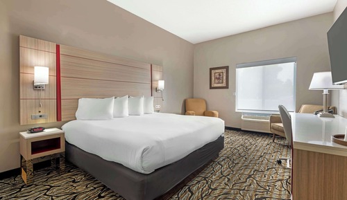 Standard Room, 1 King Bed, Accessible, Refrigerator & Microwave (Walk-in Shower)