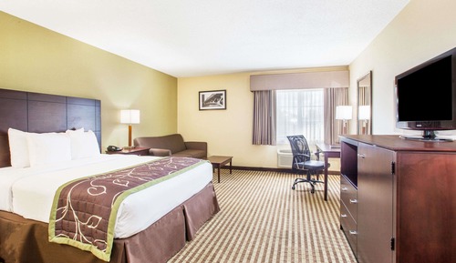 Room, 1 Queen Bed, Accessible, Non Smoking (Mobitily/Hearing, Roll-In Shower)