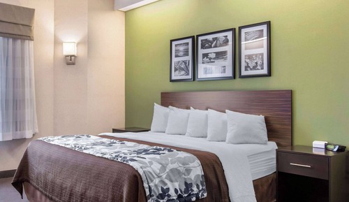 Standard Room, 1 King Bed, Non Smoking