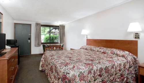 Room, 1 King Bed