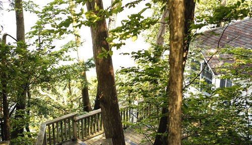 Deluxe Room, 3 Twin Beds, Lake View (Two Bedroom Cottage - Lake View Delux)