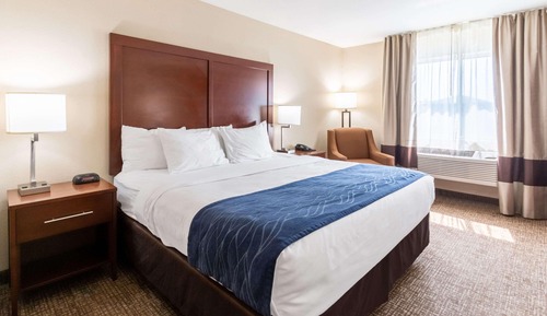 Standard Room, 1 King Bed, Non Smoking