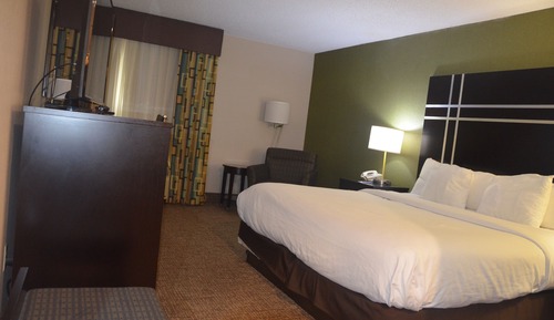 Room, 1 King Bed, Accessible, Non Smoking