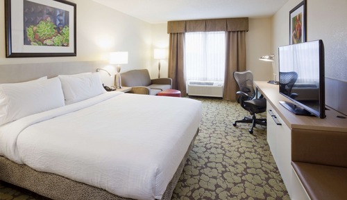 Room, 1 King Bed with Sofa bed