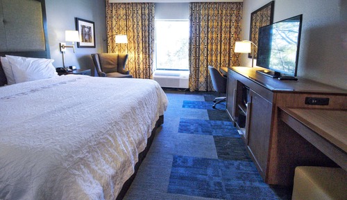 Room, 1 King Bed, Accessible, Bathtub (Hearing)