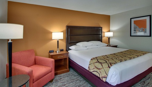 Deluxe Room, 1 King Bed, Accessible, Refrigerator & Microwave (Roll in Shower)