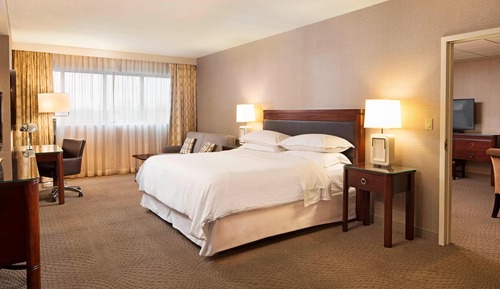 Traditional Room, 1 King Bed with Sofa bed (Hearing Accessible)