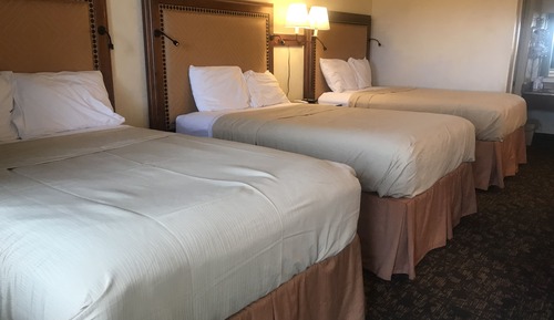 Room, Multiple Beds