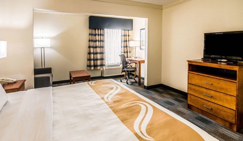 Business Suite, 1 King Bed with Sofa bed, Non Smoking (2 Person Sofabed)