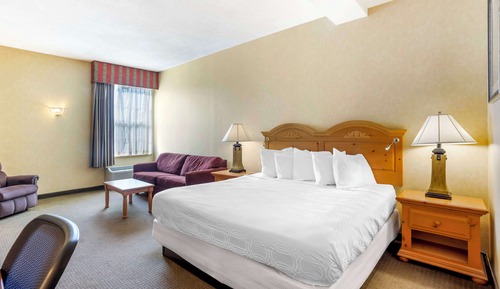 Standard Room, 1 King Bed, Non Smoking, Refrigerator