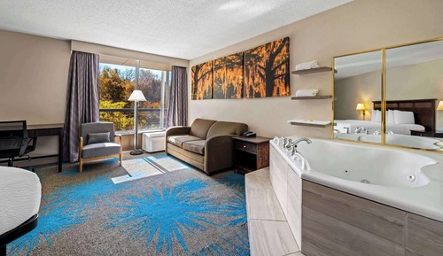Suite, 1 King Bed, Refrigerator