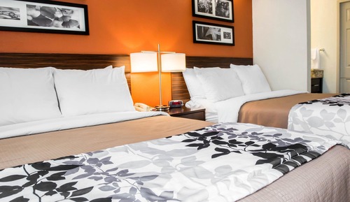 Standard Room, 2 Double Beds, Non Smoking