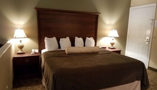 Standard Room, 1 King Bed, Non Smoking, Refrigerator & Microwave