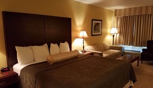 Standard Room, 1 King Bed with Sofa bed, Non Smoking, Microwave (with Sofabed)