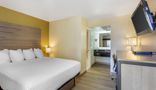 Room, 1 Queen Bed