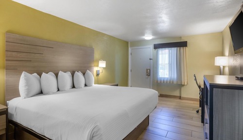 Room, 1 King Bed