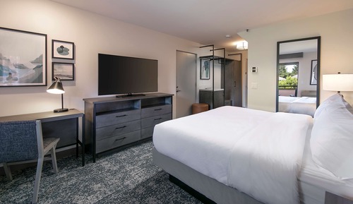 Room, 1 King Bed